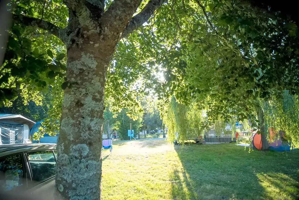 emplacement de camping pour tente en pleine nature