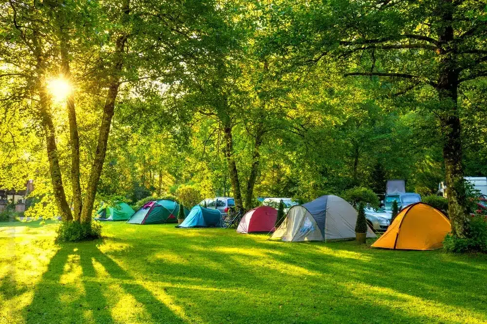 Emplacement de camping ensoleillé pour tente en pleine nature